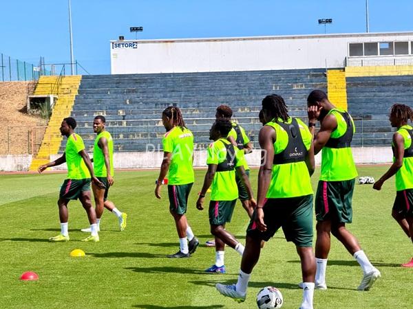 Super Eagles